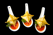 Chicken Wontons